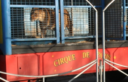 http://www.villiers-sur-loir.com/IMG/jpg/IMG_0305_cirque_de_Paris_.jpg